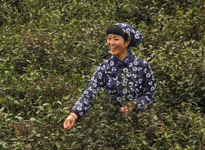 企鹅号·奶冻布丁酱 热门1